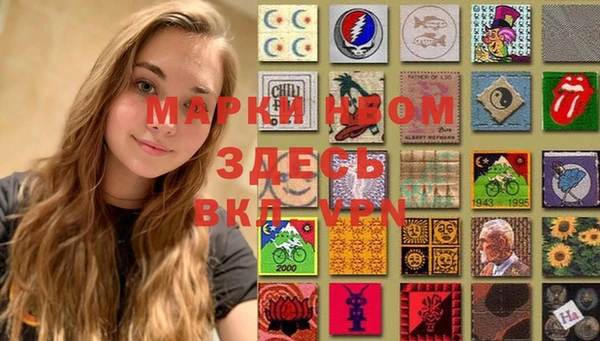 мет Дмитров