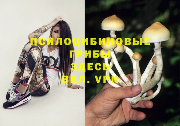 мет Дмитров