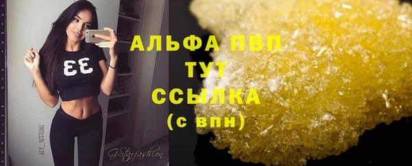 мет Дмитров