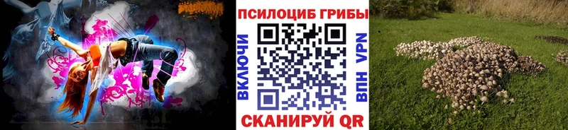 Галлюциногенные грибы Cubensis Байкальск